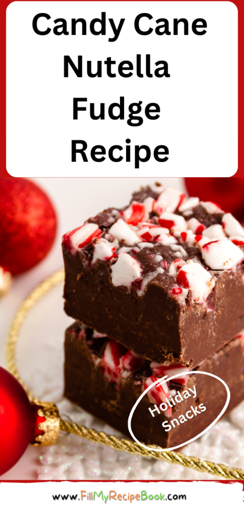 Make this Holiday Candy Cane Nutella Fudge Recipe idea for Christmas desserts or snacks. An easy chocolate No Bake decorated with candy.