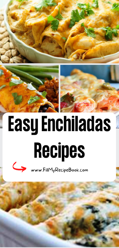 Easy Enchiladas Recipes dishes ideas to create. Tasty easy meals for breakfast or lunch, vegetarian diets or meat eaters with fillings.