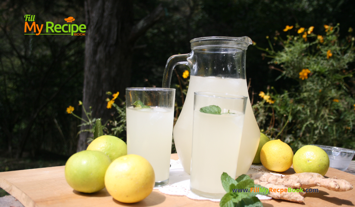 Homemade Thirst Quenching Ginger Beer recipe. The best homemade cold ginger and lemon juice, non alcoholic drink for a hot summer day.