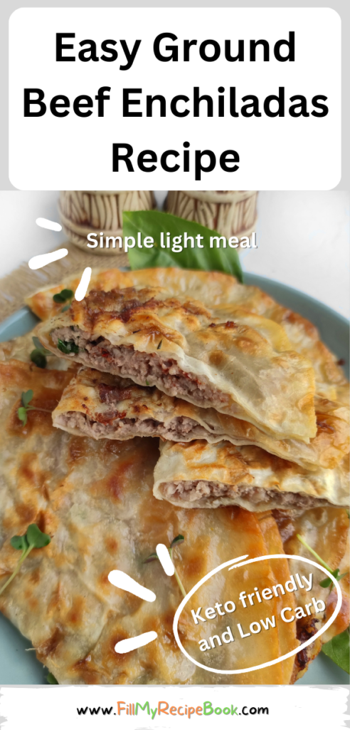 Keto Easy Ground Beef Enchiladas Recipe idea. A simple lunch or light meal that is low carb with raw minced meat, spices and green onion.