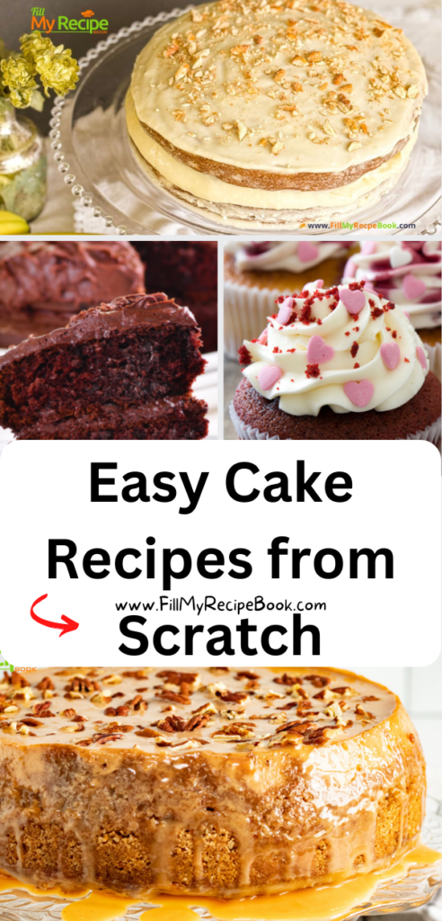 Easy Cake Recipes from Scratch ideas. Large cakes and mini cakes as well as cheese cake no bake and oven bake simple desserts.