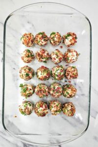 Mini-Appetizer-Cheeseballs-Bites-5-poster