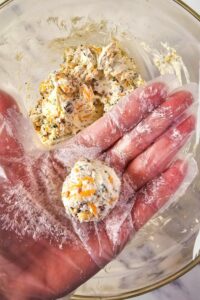 Mini-Appetizer-Cheeseballs-Bites-6-poster