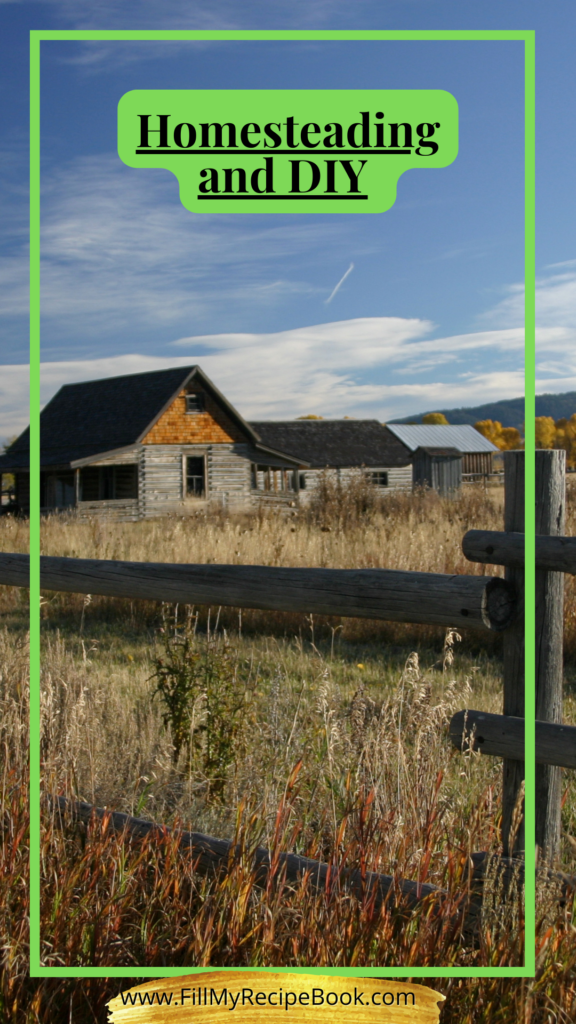 Homesteading and DIY is all about what we do on the farm, grow vegetables and fruit trees, bees, honey and goats and chickens.