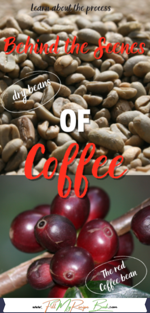 Many coffee trees on the farm are under tree and shade cover. Here we show you what the process is of the trees and coffee beans before you actually have a cup of coffee. With photos of the beans drying