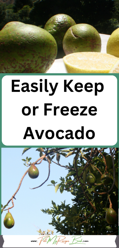 Easily Keep or Freeze Avocado. On the farm we have a few avocado trees. We share ideas how to keep and Freeze them with some recipes.