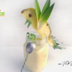 You will love to blend this Simple Healthy Pineapple Smoothie recipe for a cooling beverage in the hot summer days, thirst quenching drink.