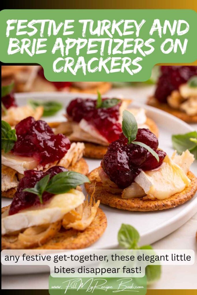 Serve up these Festive Turkey and Brie Appetizers on Crackers for your next holiday gathering. For the perfect bite sized party treat.