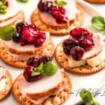 Serve up these Festive Turkey and Brie Appetizers on Crackers for your next holiday gathering. For the perfect bite sized party treat.