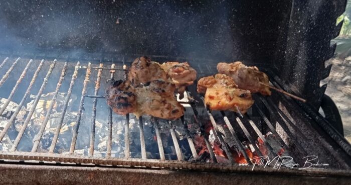 Serve the grilled chicken straight from the skewer for an easy, casual barbecue or braai meal. Enjoy it with fresh salads, grilled vegetables, potatoes, warm bread, or your favorite barbecue side dishes. Using a single skewer to secure each piece of chicken thigh makes it easy to handle on the grill, helps it cook evenly, and creates a fun, hand-held meal that's perfect for family barbecues, braais, picnics, and outdoor gatherings. This recipe works on a gas grill, charcoal barbecue, or an open-fire braai. If using a gas grill, preheat it to medium-high heat and grill until the chicken is golden and cooked through.