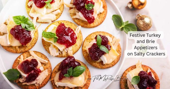 Serve up these Festive Turkey and Brie Appetizers on Crackers for your next holiday gathering. For the perfect bite sized party treat.
